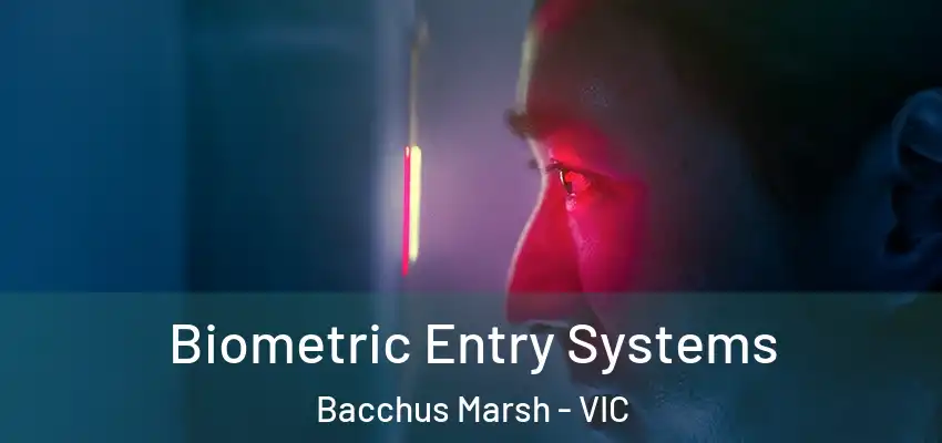 Biometric Entry Systems Bacchus Marsh - VIC