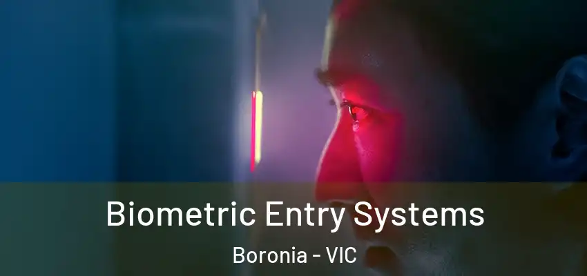 Biometric Entry Systems Boronia - VIC