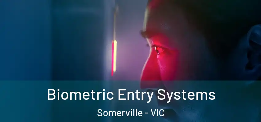 Biometric Entry Systems Somerville - VIC