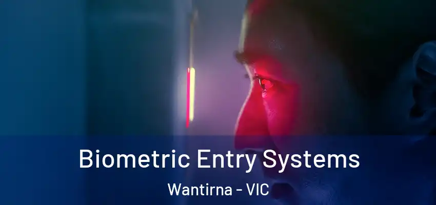 Biometric Entry Systems Wantirna - VIC
