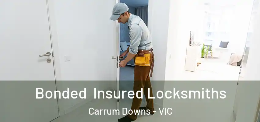 Bonded Insured Locksmiths Carrum Downs - VIC