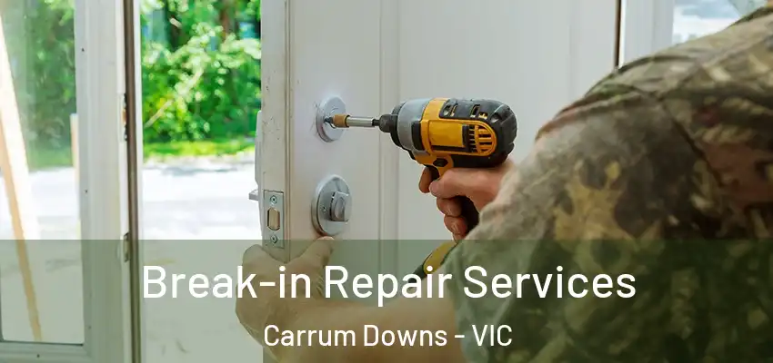 Break-in Repair Services Carrum Downs - VIC