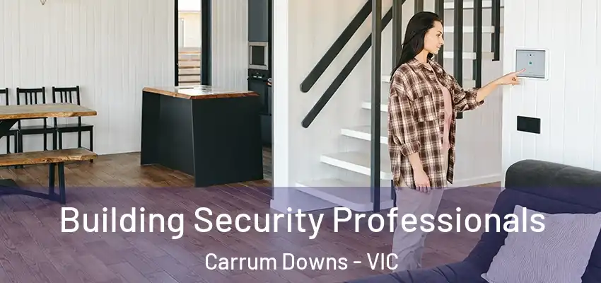 Building Security Professionals Carrum Downs - VIC