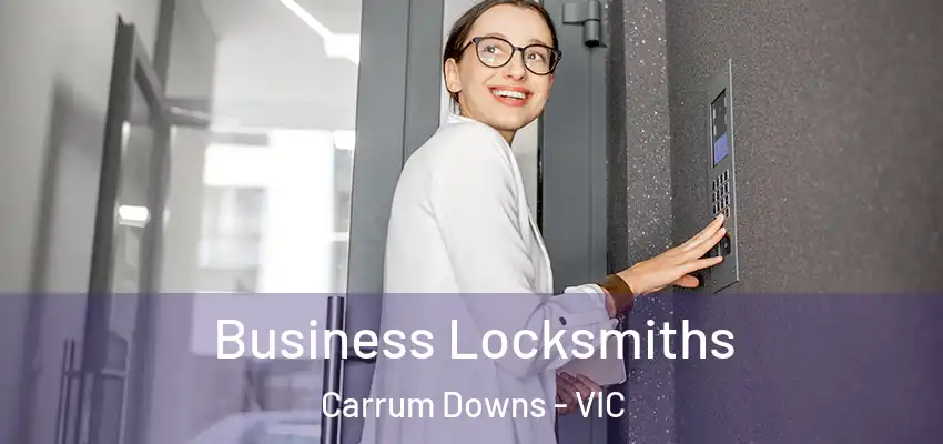 Business Locksmiths Carrum Downs - VIC