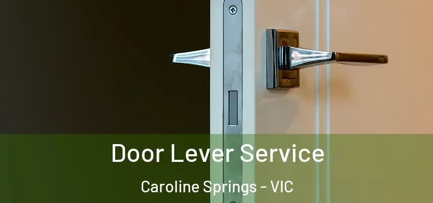  Door Lever Service Caroline Springs - VIC