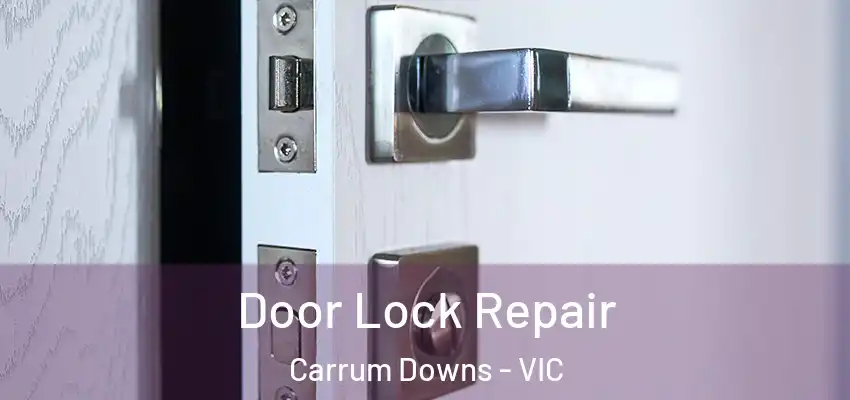 Door Lock Repair Carrum Downs - VIC