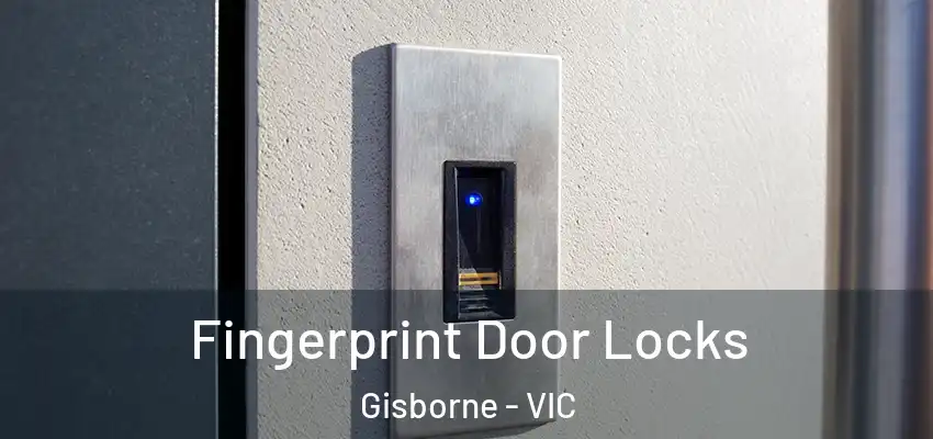 Fingerprint Door Locks Gisborne - VIC