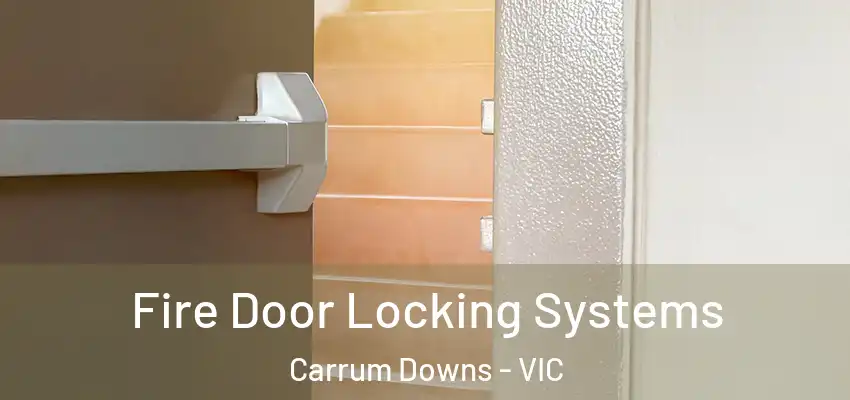 Fire Door Locking Systems Carrum Downs - VIC