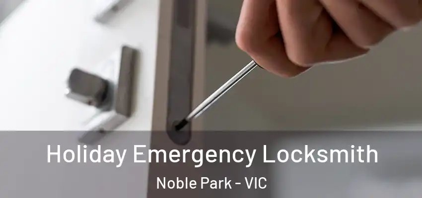 Holiday Emergency Locksmith Noble Park - VIC