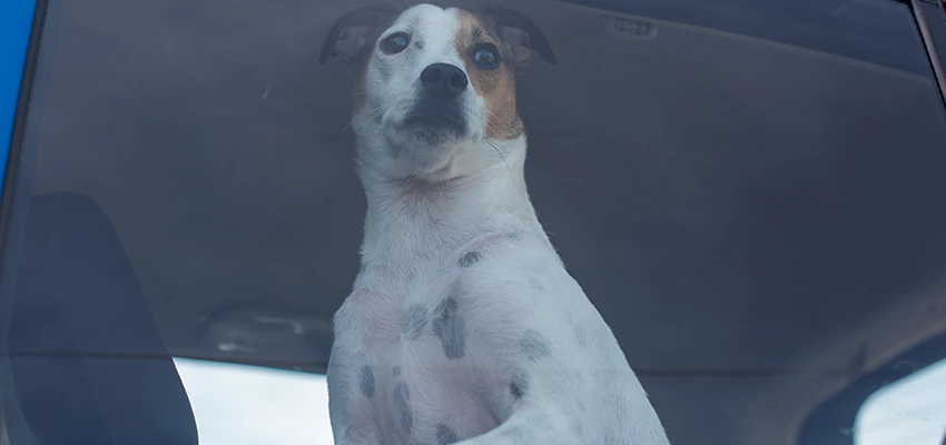 Car Lockout Solutions in Melbourne, VIC