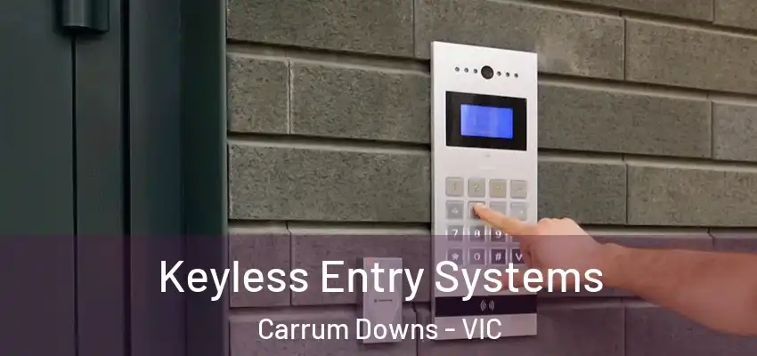 Keyless Entry Systems Carrum Downs - VIC
