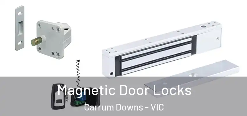 Magnetic Door Locks Carrum Downs - VIC