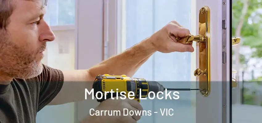  Mortise Locks Carrum Downs - VIC