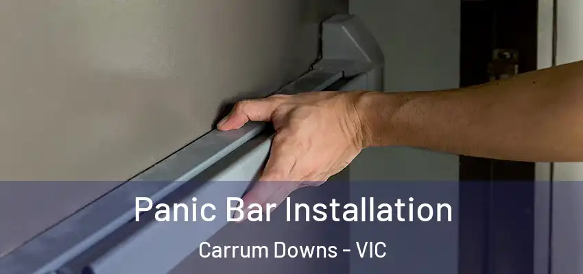 Panic Bar Installation Carrum Downs - VIC