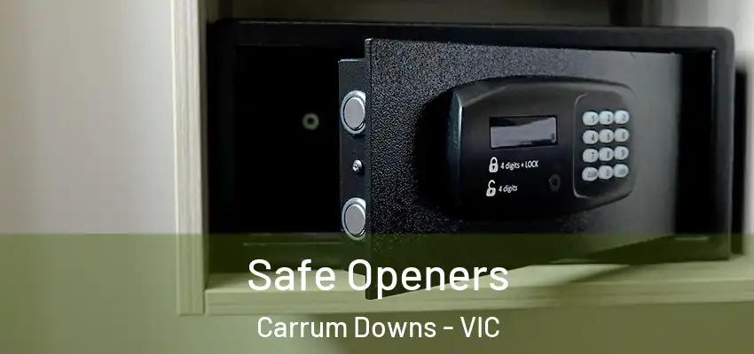  Safe Openers Carrum Downs - VIC