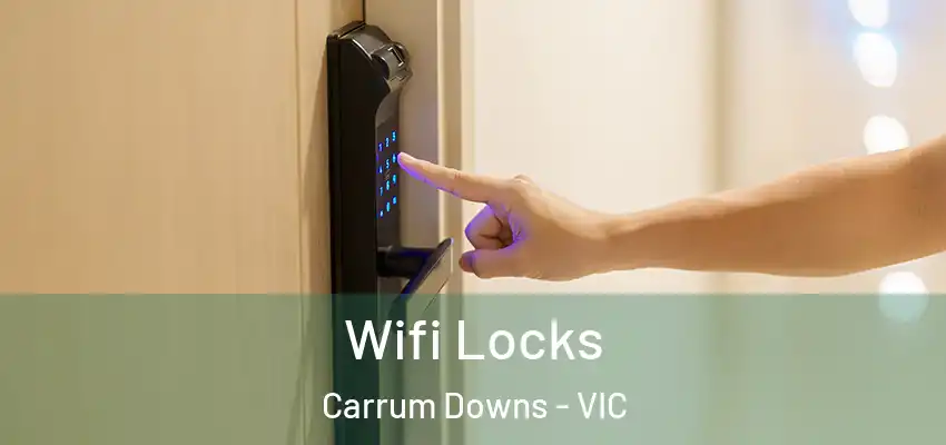Wifi Locks Carrum Downs - VIC